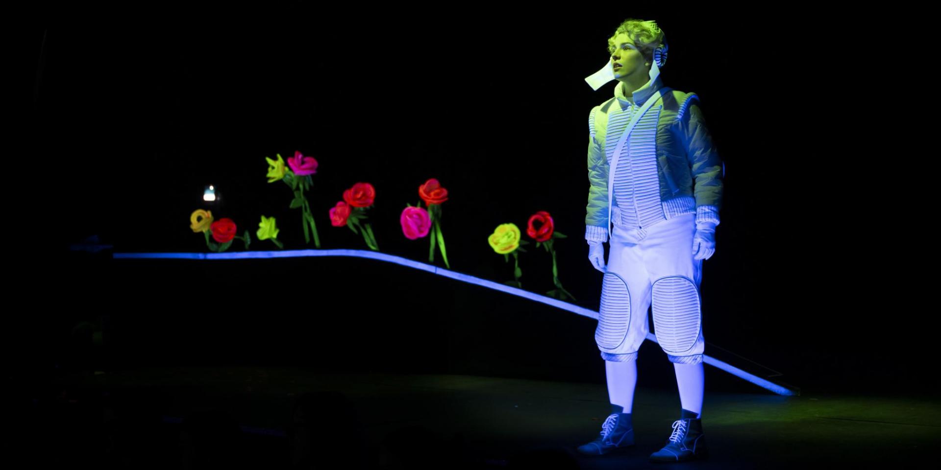 il piccolo principe a teatro